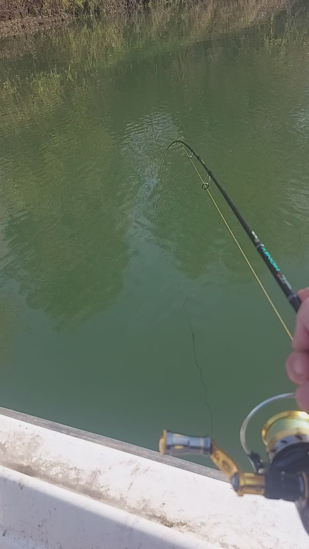 Kaida ,,Honey"štap za UL ribolov